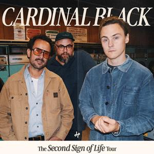 Cardinal Black Cambridge Junction
