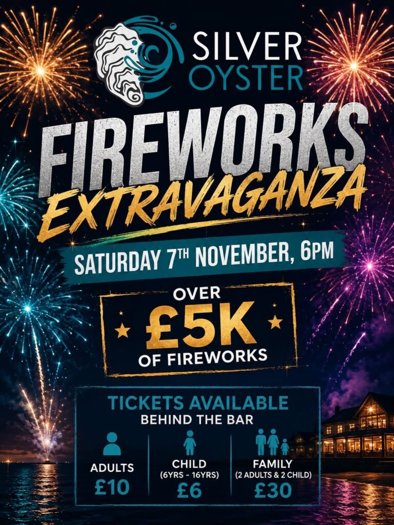 Fireworks Extravaganza poster featuring vibrant fireworks display.